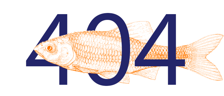 Рыбка застряла в 404 и шевелит плавниками